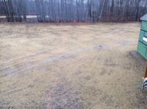 Backyard after seeding and haying. You can see the septic area behind the stand of trees to the back left.